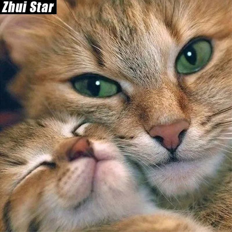 Набор для алмазной вышивки 5D Zhui Star картина Кот с животными полная выкладка