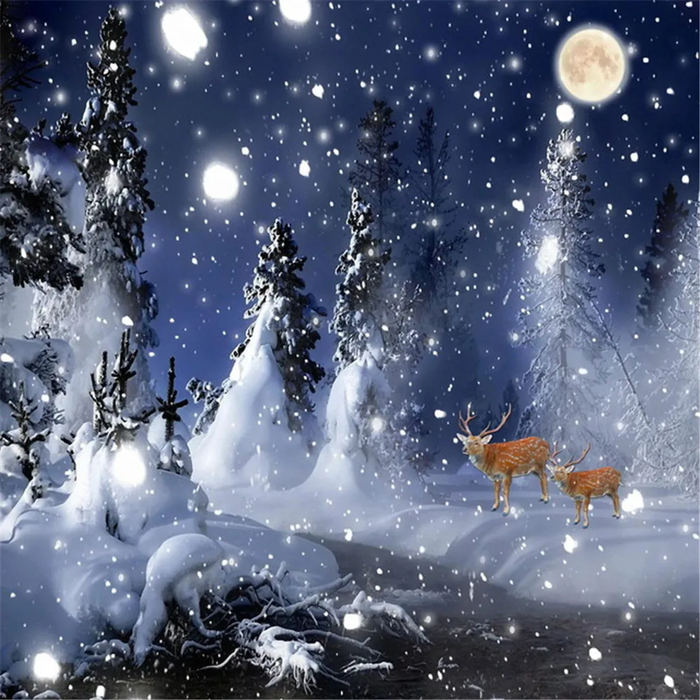 My Image 46