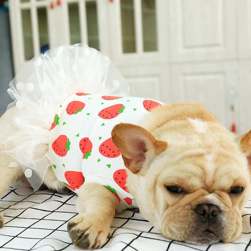 cute clothes for french bulldogs