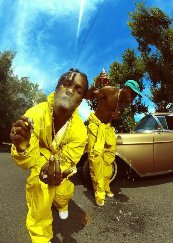 

N2617 ASAP Rocky & Tyler The Creator Album Wall Sticker Silk Fabric Poster Art Indoor Decor Bright