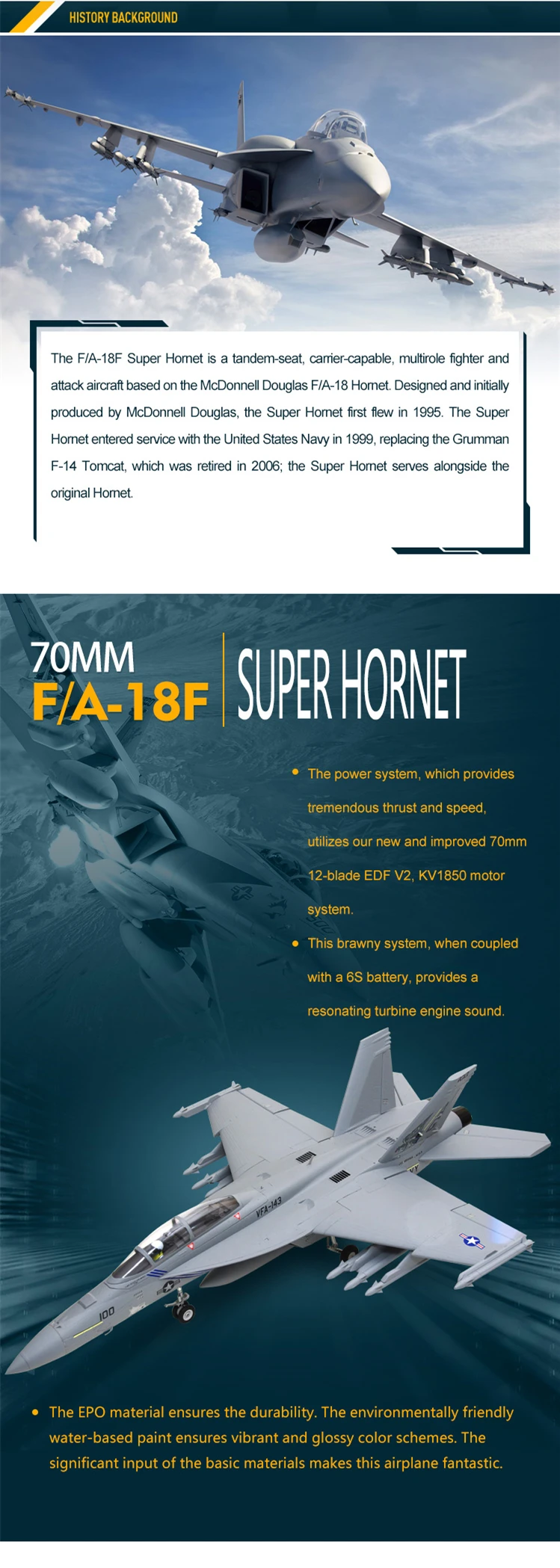 FMS F18 70 02_