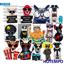 38pcs Cool Cute Sunglasses Pets Puppy Cat Stickers for Phone Laptop Luggage Suitcase Guitar Skateboard Bike Car Decal Stickers 38pcs Cool Cute Sunglasses Pets Puppy Cat Stickers for Phone Laptop Luggage Suitcase Guitar Skateboard Bike Car Decal Stickers