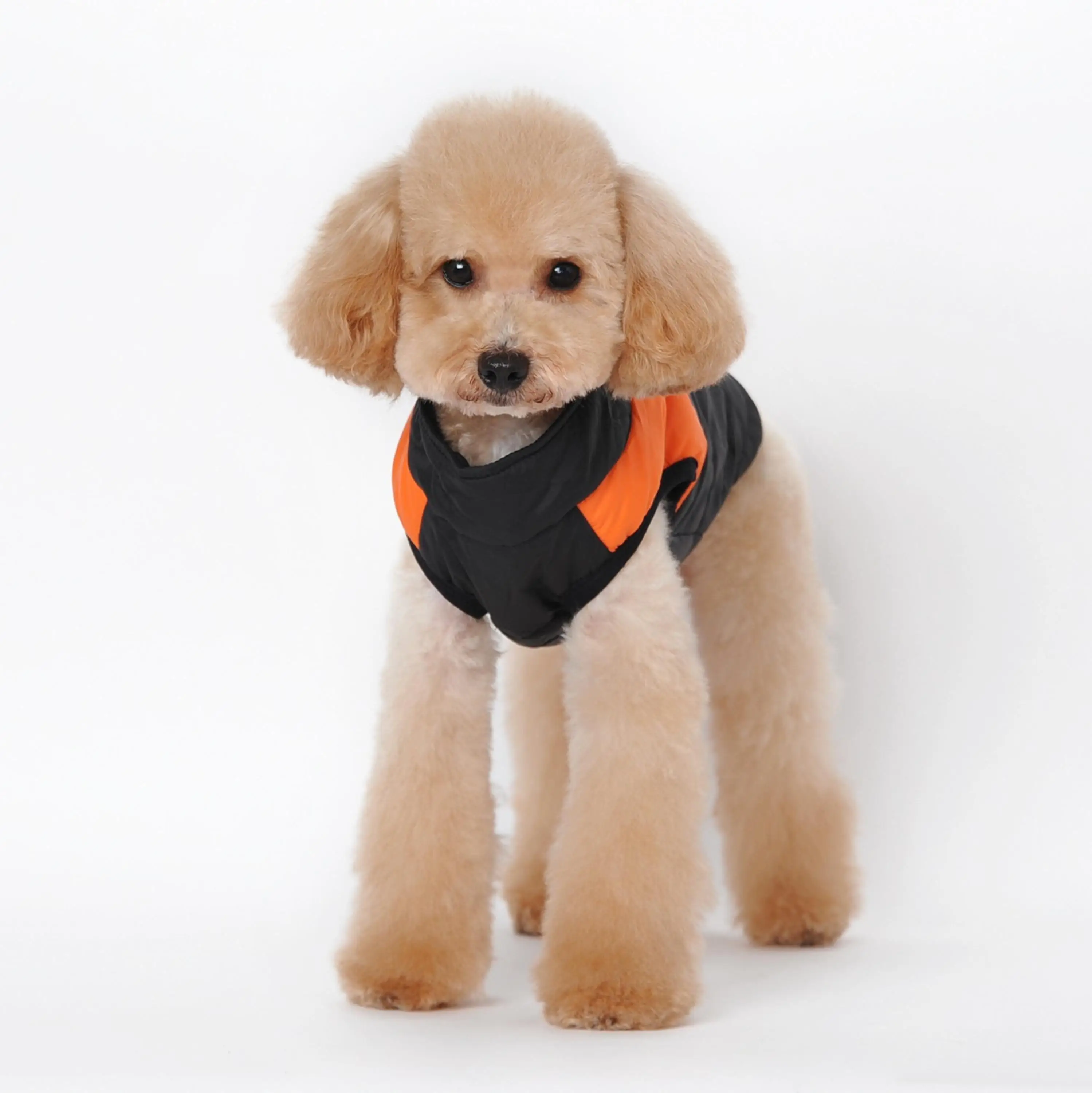 P01_Waterproof_Pet_Dog_Winter_Vest_Jacket_Clothing_Warm_Puppy_Dogs_Cats_Clothes_Coat_Parka_Dogs_Ski_Suit_for_Chihuahua_ (6)