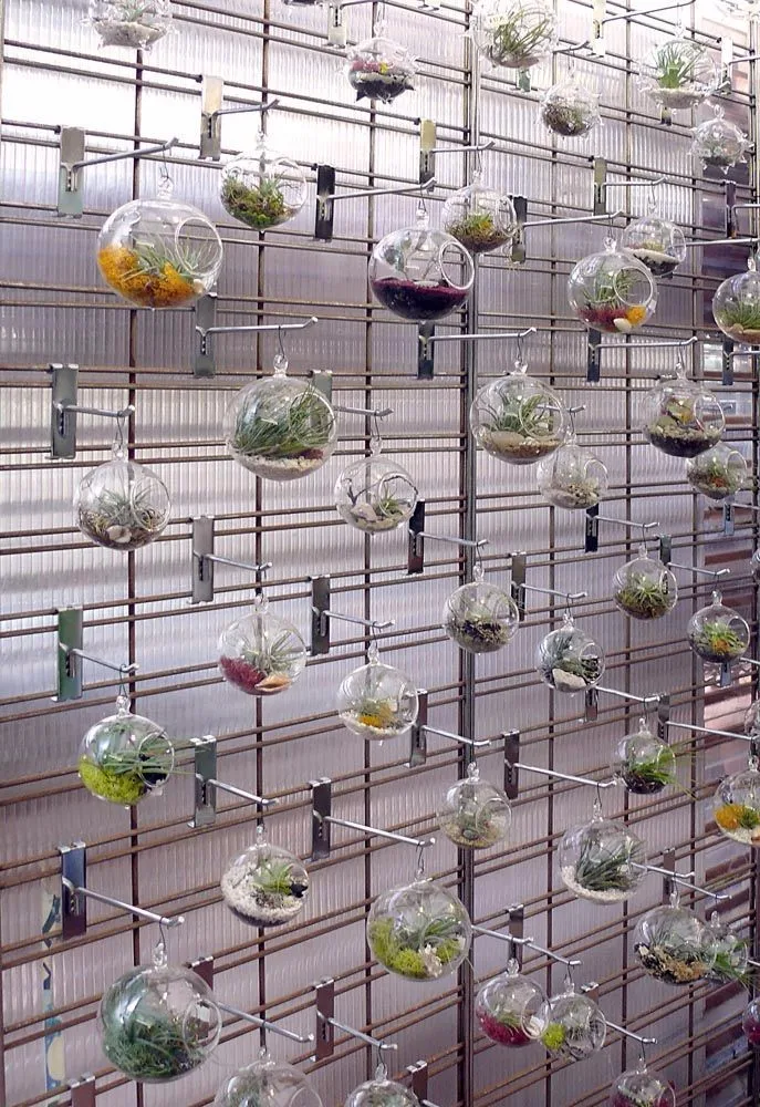 12PCS-Lot-hanging-air-plant-glass-terrariums-succulent-indoor-planters-glass-flower-pots-home-decor-house (2)