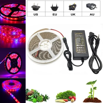 

Plant Grow lights Full Spectrum LED Strip Flower phyto lamp 5m Dimmable Red blue for Greenhouse Hydroponic + Power adapter