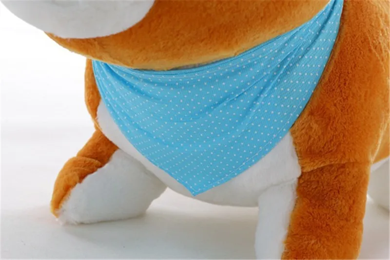 dog28