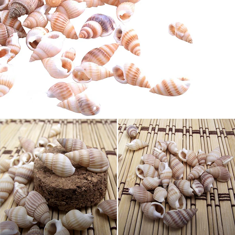

100PCS conch shells Aquarium decoration party festival Home Decor Natural Sea Beach Shell Conch Seashells For DIY Crafts New