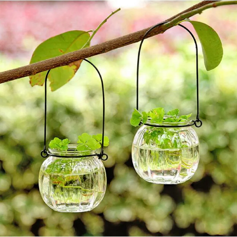 1pc Cute Transparent Glass Pumpkin shaped Hydroponic Hanging Vase Home