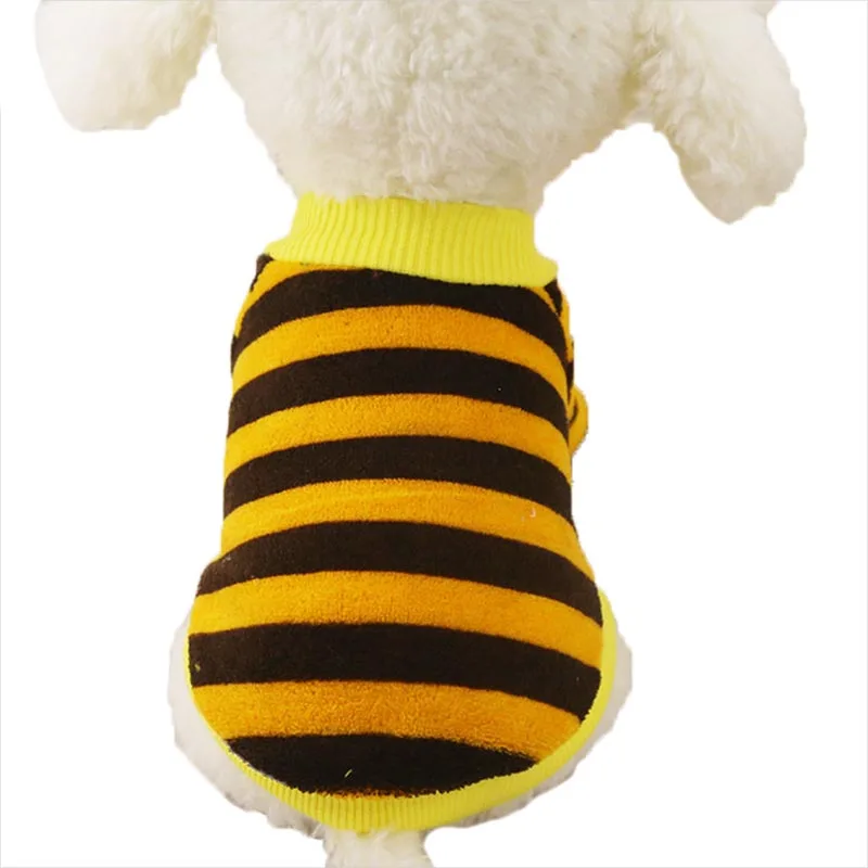 Yellow dog clothes