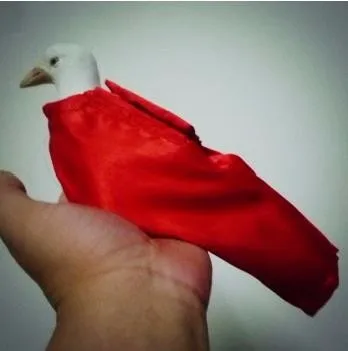 ScreenShot6