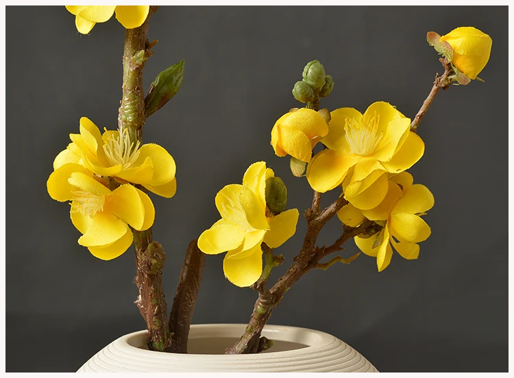 29 Wintersweet Product Detail