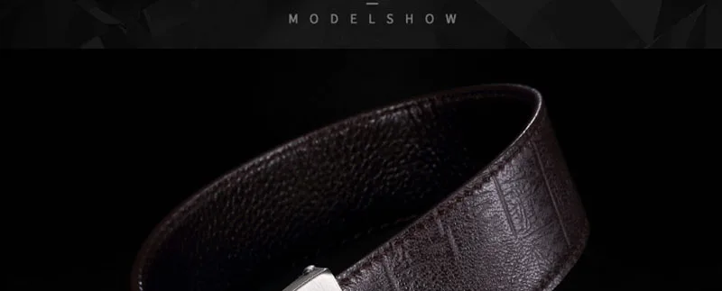 ZD173 (18)