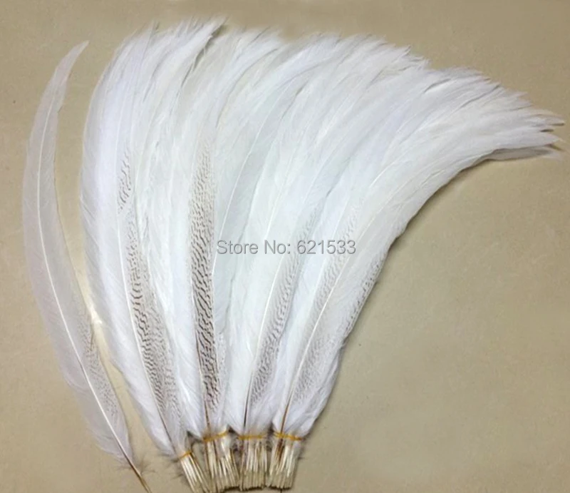 

50Pcs/lot! 70-75cm Super Long Natural Silver Pheasant Tail Feathers,Silver Pheasant Tails,long feathers