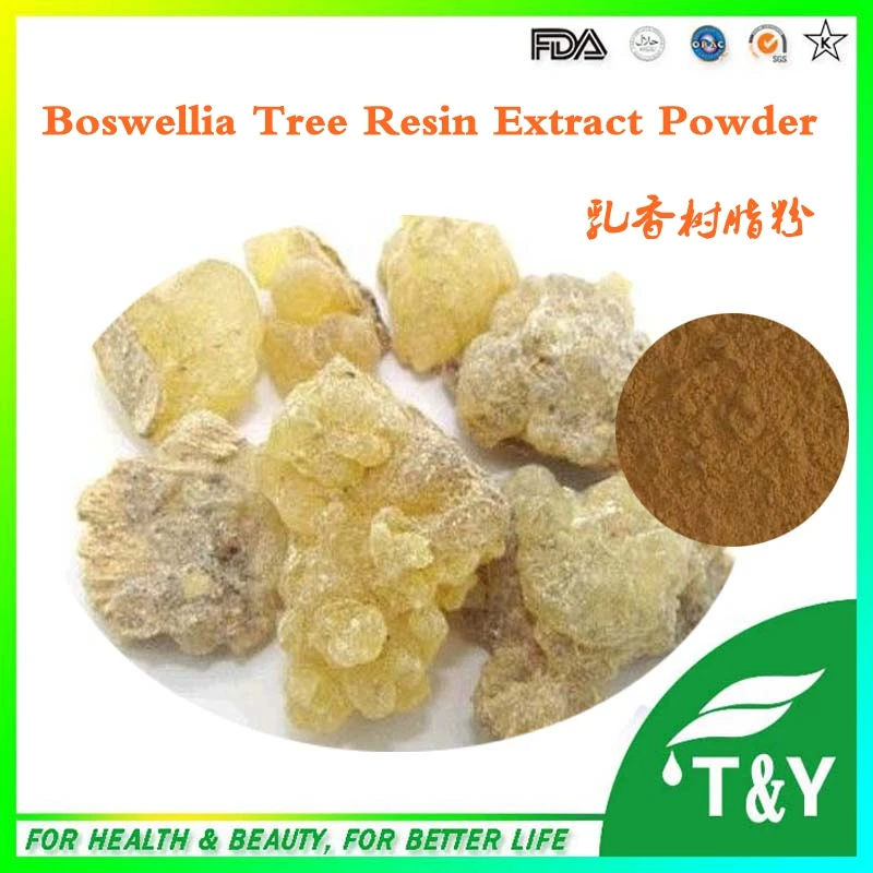 

Competitive price and good quality Boswellia Tree Resin Extract Powder 100g