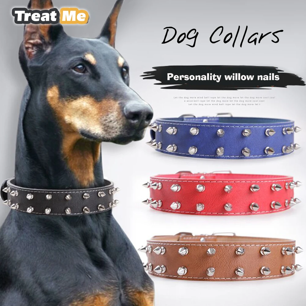 dog accessories store near me