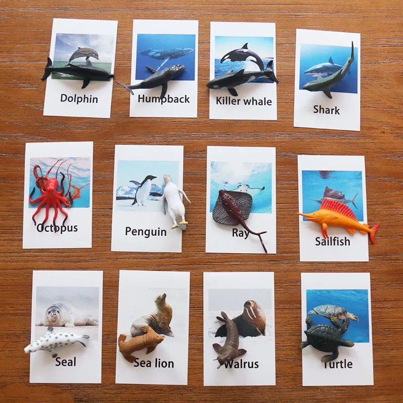 Montessori Toys For 3 Year Olds Marine Animals Educational Early Learning Toys For Children Birthday Gift MJ1364H