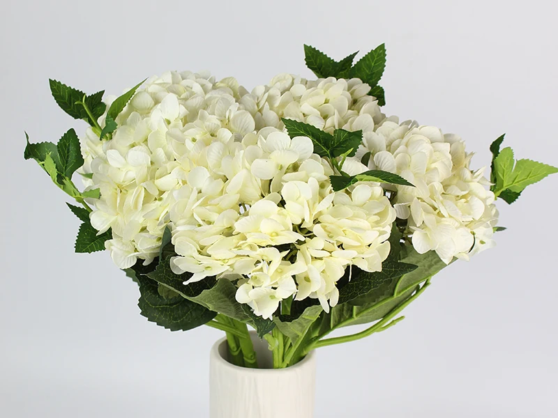 5white