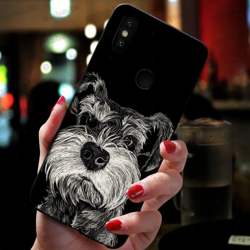 Miniature schnauzer puppy dog
