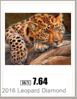 AeProduct.getSubject ()