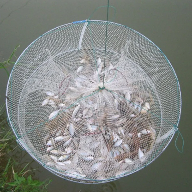 5 отверстий 33*12 см Портативная Складная круглая рыболовная креветка рыболовная сеть рыболовная снасть полиэфирная рыба креветка-кальмар приманка для крабов сетчатая ловушка - Цвет: white