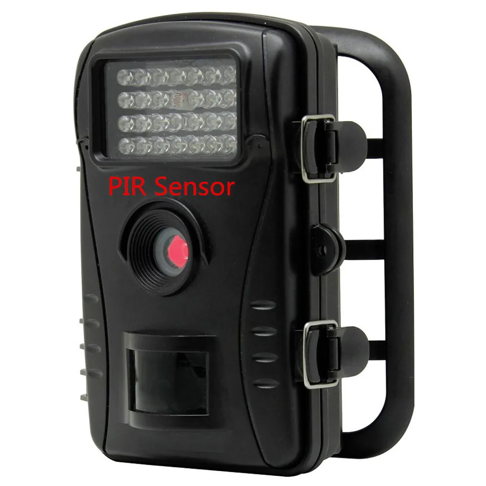 motion detector wildlife camera