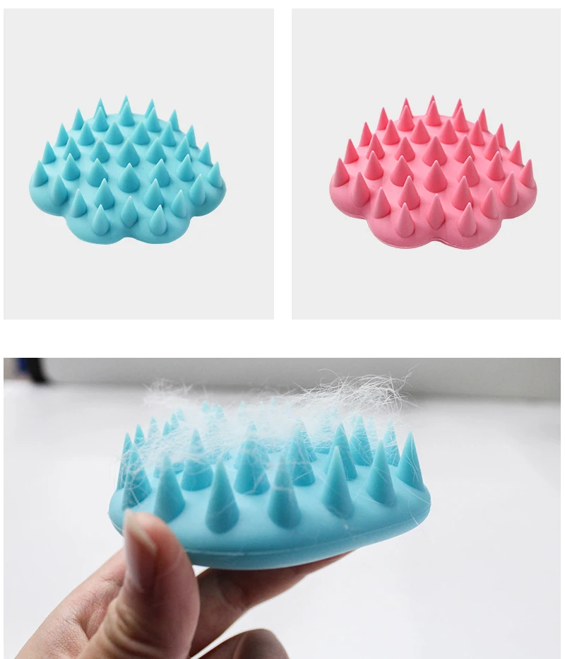17 dog accessories