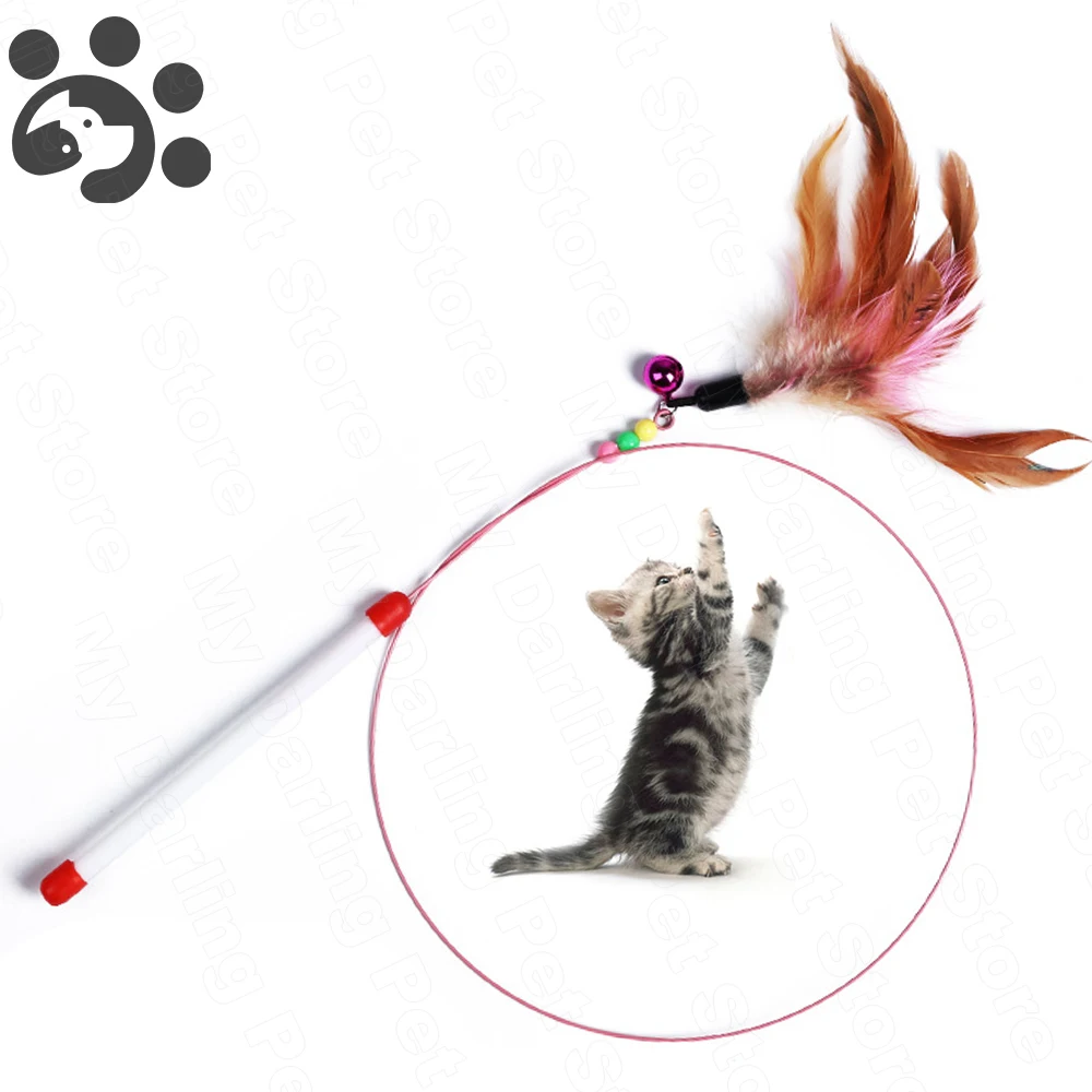Cat Playing Stick 