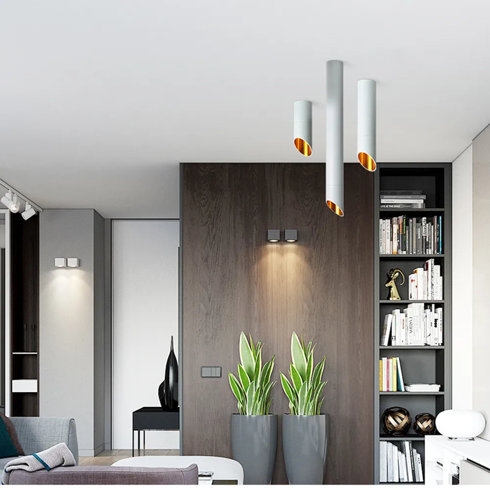 surface downlight  (17)