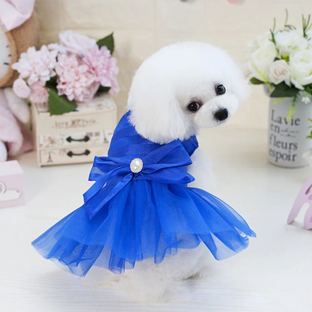 dog clothing