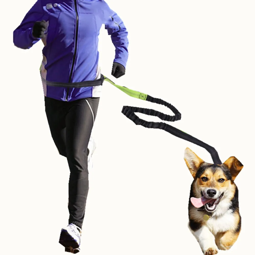 Buy Nylon Dog Collar Leashes For outdoor Leads Free