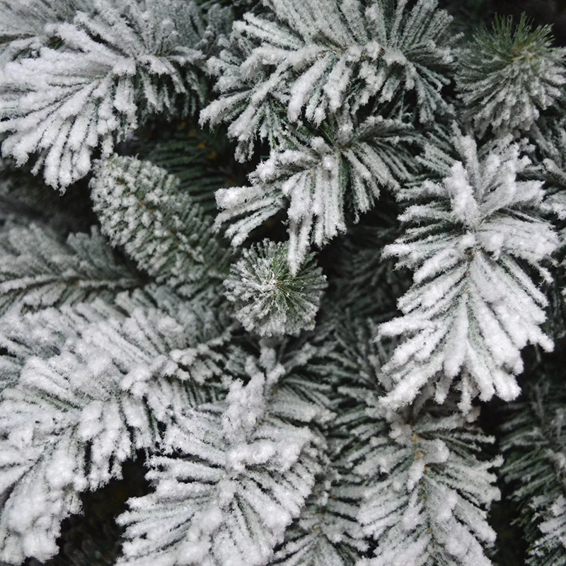 4332265515_383263595