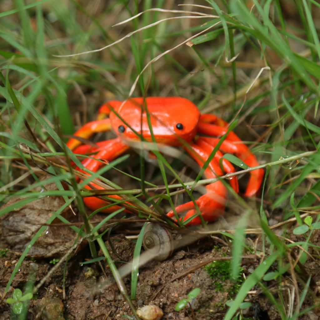 Fly Fishing 1pcs Bumble Bee Grasshopper Chub Beetle Dry Flies Realistic Insect Lure for Lure Kit Home Garden Decoration 