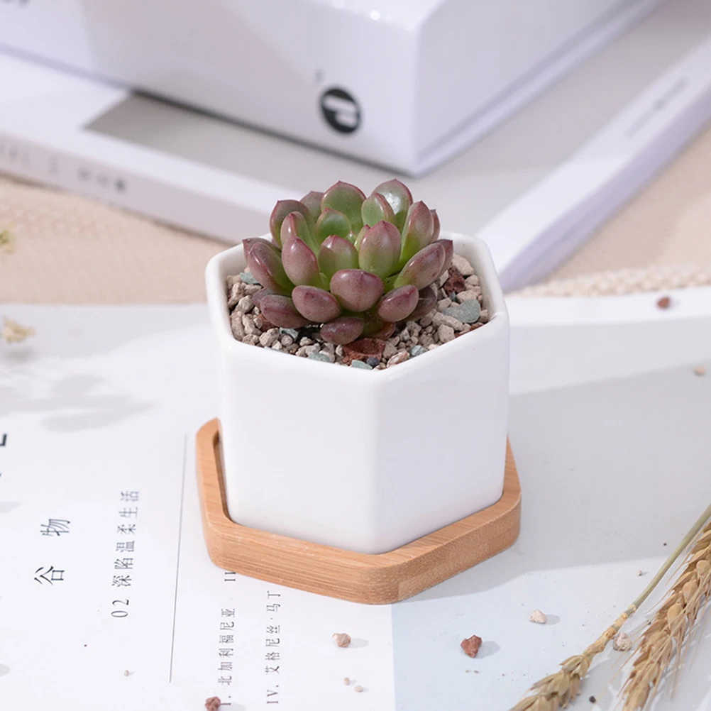 3 Sets of Small White Ceramic Hexagonal Succulent