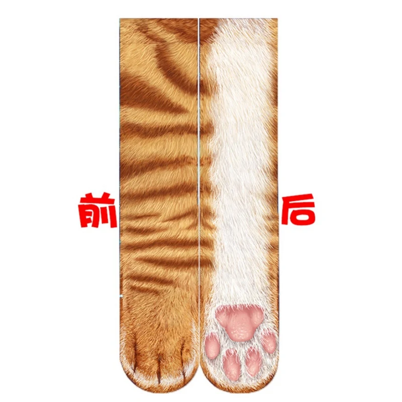 TA811250