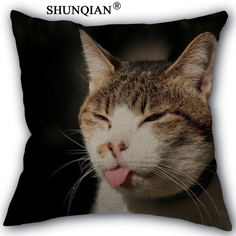 cat Pillowcase Custom Cotton Linen Square Decorative Pillow Cases Cover