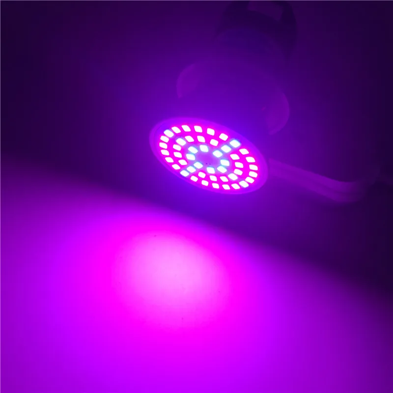 Leedome LED Phyto лампы полный спектр светодиодный свет для выращивания 48 60 80