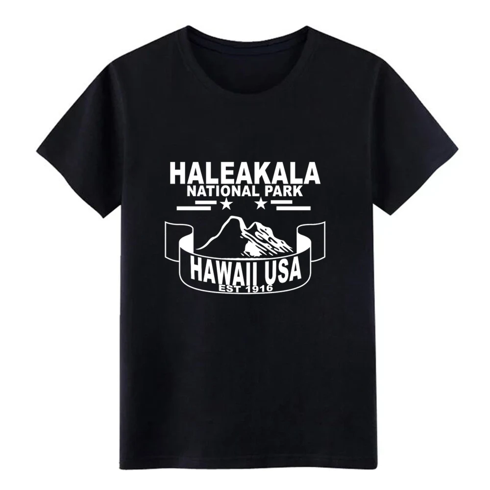 Haleakala_national _ Park Футболка дизайнерская футболка с коротким рукавом размер S-3xl