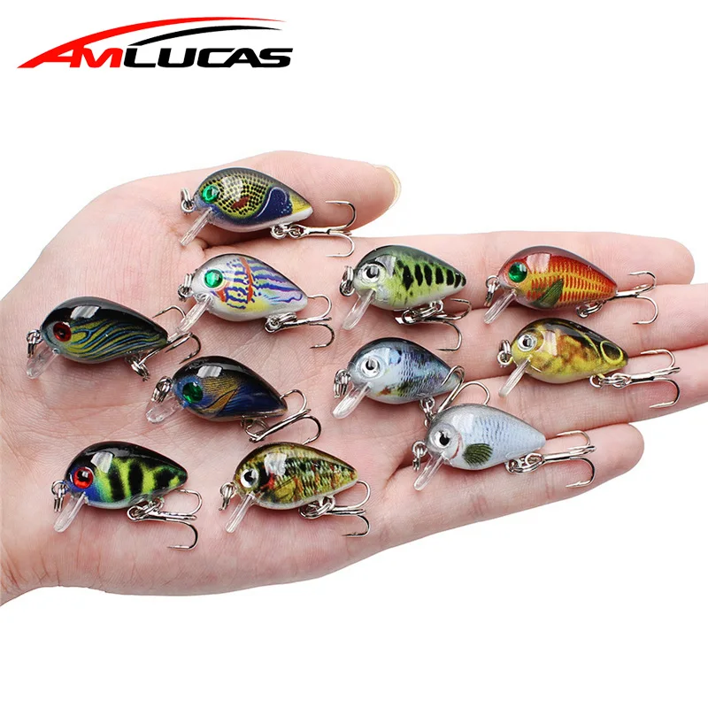 Amlucas 30 مللي متر 2g مجنون Wobblers البسيطة توبواتر Crankbait الاصطناعي اليابان الصلب الطعم Pesca العائمة الصيد السحر باس Pesca WW338 Amlucas 30 مللي متر 2g مجنون Wobblers البسيطة توبواتر Crankbait الاصطناعي اليابان الصلب الطعم Pesca العائمة الصيد السحر باس Pesca WW338
