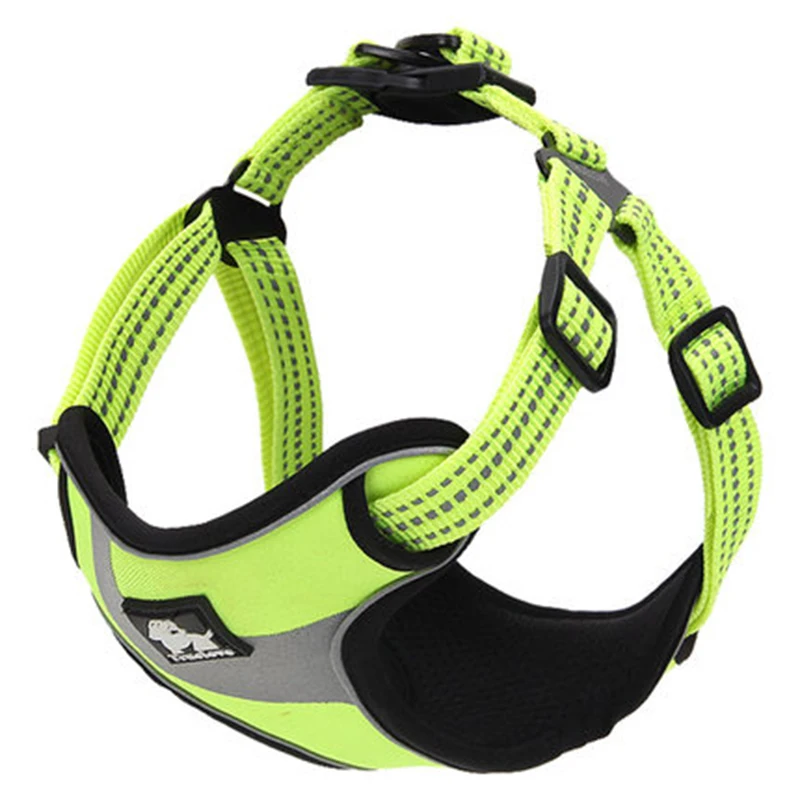 puppy collar set (5)