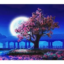 3240 Набор для рисования по номерам для взрослых DIY