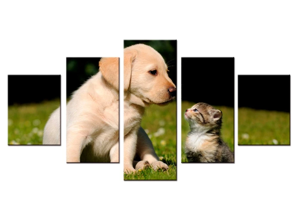 Toile Imprimee Avec Chat Et Chien Pieces Ensemble Imprimes Impression D Affiches D Expression En Serie Avec Animaux De Compagnie Decor Artistique Pour Salon Aliexpress