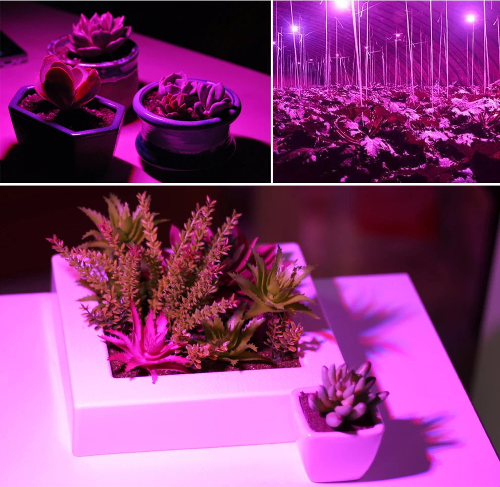 Полный спектр светодиодный светильник для роста растений 6 Вт 10 Вт 30 Вт 50 Вт 80 Вт Phytolamp E27 УФ-светильник для растений, цветов, саженцев