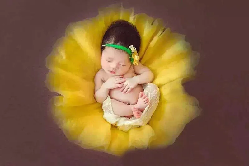 

Wool Background Newborn Baby Photography Prop A102 Nest Stuffer Round Felt Basket Filler Multi Color Baby Photo Prop Accessories