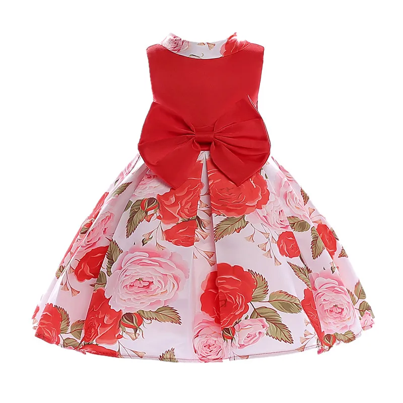 8160423235_655484822_