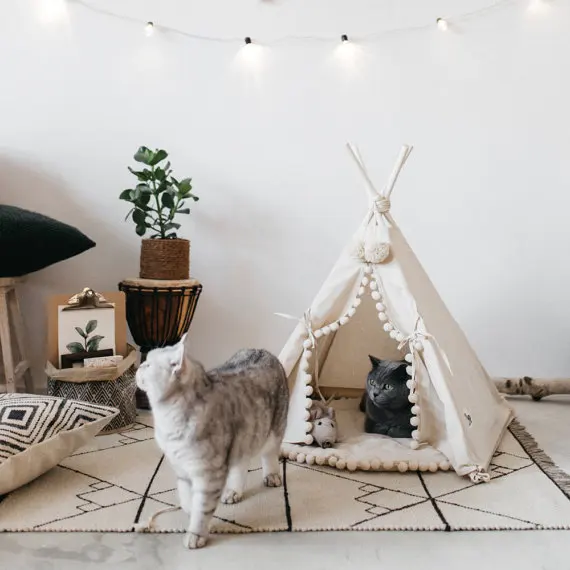 teepee tent (5)