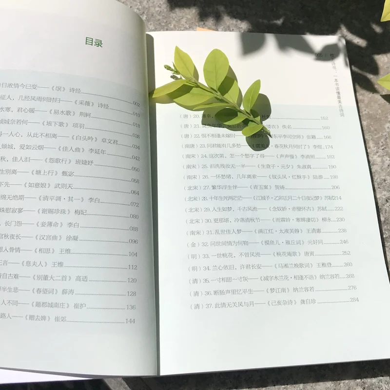 Newest Pillow Poem Book Appreciation of ancient poetry, reading a poem, telling a story Classic poetry selection books