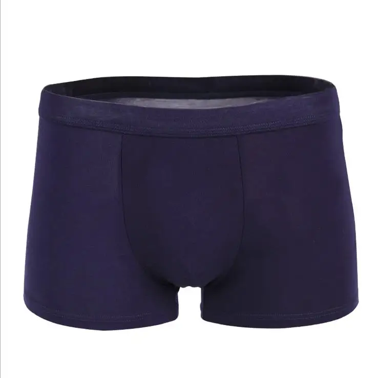 boxer (1)_