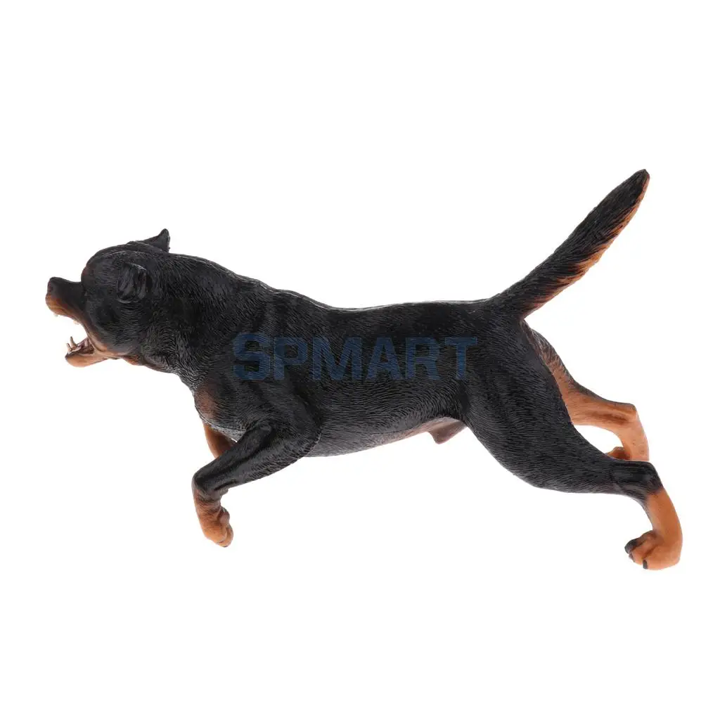 Simulation Wildlife Farm Pet Animal Model Action Figures Figurine Kid Educational Science Nature Toy Home Collectible Decoration