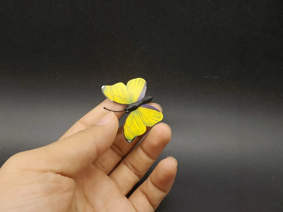 I259-Butterfly (2)
