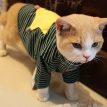 A striped sweater Star Pet British short Siam cat feet Puppy Cat clothes in winter dress shirt sleeve cotton